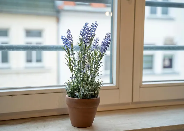 Rr - Modern 53qm - Balcony - Lift شقة *